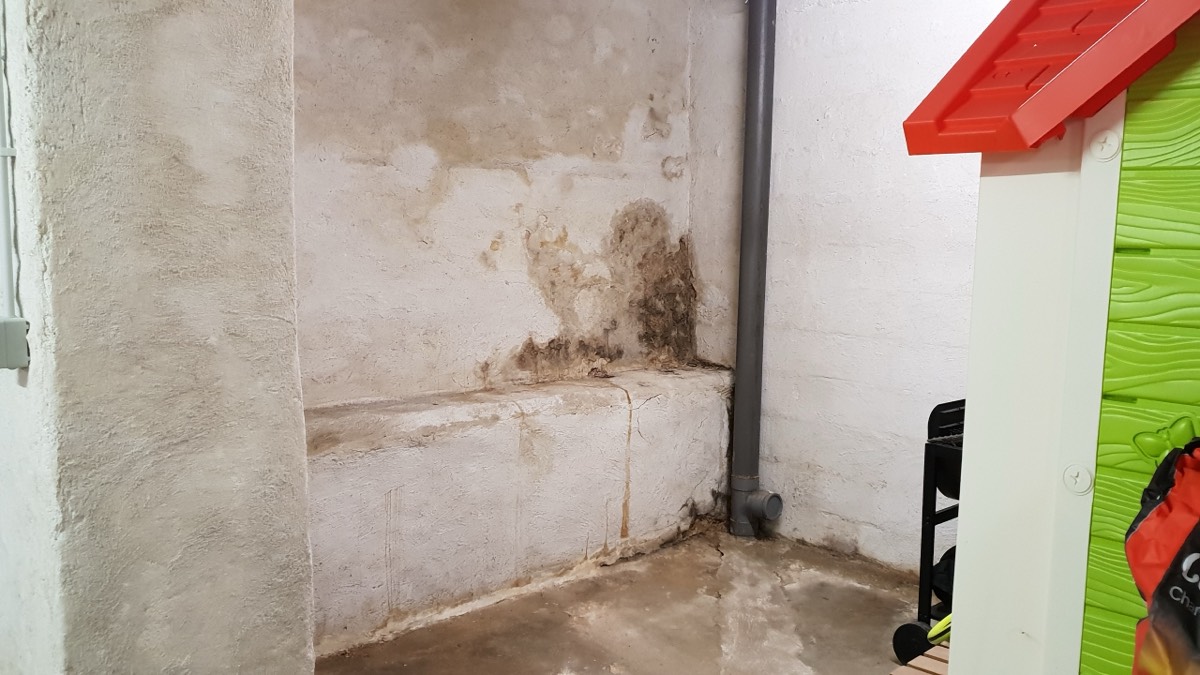 Infiltrations d'eau - Expertise humidité à Blois